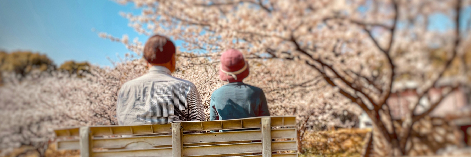 生前・遺品整理