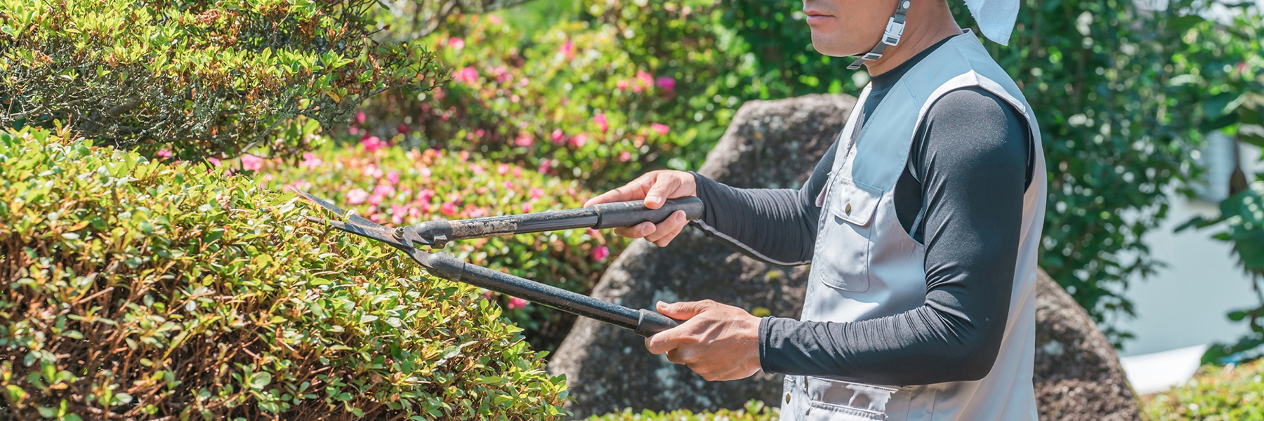 庭木の剪定サービス